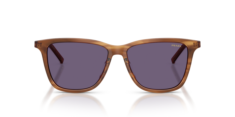 Prada PRD18SD in Striped Rosewood - Alternate View