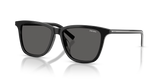 Black/basalt Horn / Dark Grey (29O20Z)