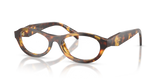 Honey Tortoise / Demo Lens (14L1O1)