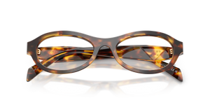 Honey Tortoise / Demo Lens (14L1O1)