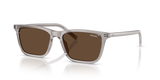 Hematite / Dark Brown (10J9L1)