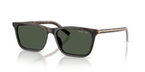 Cherry Tortoise/Tabacco Horn / Dark Green Polarized (20P90V)
