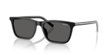 Black/basalt Horn / Dark Grey (29O20Z)