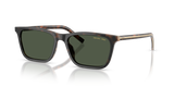 Cherry Tortoise/Tabacco Horn / Dark Green Polarized (20P90V)
