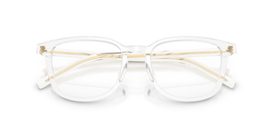 Crystal / Demo Lens (15Z1O1)