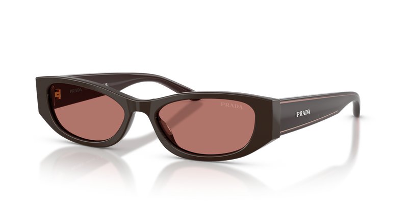 Prada PRD22S in Cigar - Alternate View