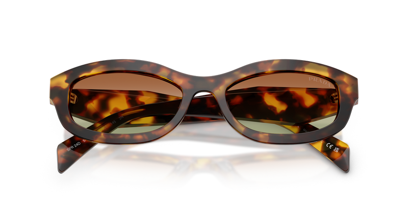 Prada PRD24S in Honey Tortoise - Alternate View