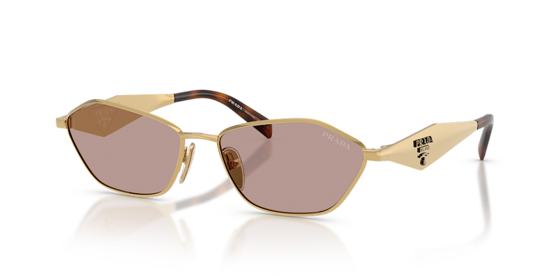 Prada PR D50S in Gold / Light Purple Brown (5AK20I) - Alternate View