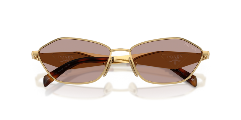 Prada PR D50S in Gold / Light Purple Brown (5AK20I) - Alternate View