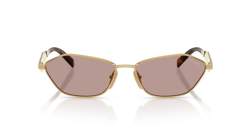 Prada PR D50S in Gold / Light Purple Brown (5AK20I) - Alternate View