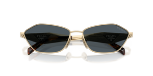Pale Gold / Dark Grey (ZVN70B)