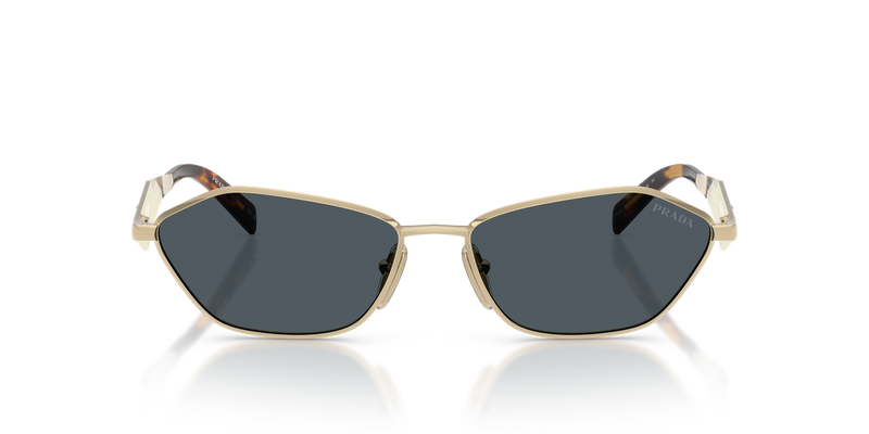 Prada PR D50S in Pale Gold / Dark Grey (ZVN70B) - Alternate View