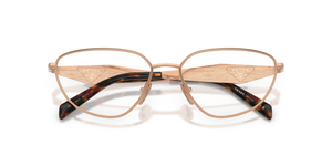 Rose Gold / Demo Lens (22L1O1)