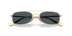Pale Gold / Dark Grey (ZVN70B)