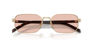 Oro Pallido Lucido / Rosa Antico Bio (ZVN50V)