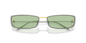 Silver / Green (1BC61C)