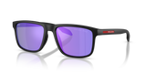 Matte Black / Grey Polarized (12P31G)