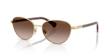 Gold / Gradient Brown (900413)