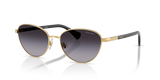 Gold / Gradient Grey (90048G)