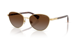 Gold / Brown (9004T5)