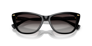 Shiny Black / Grey Gradient (50018G)