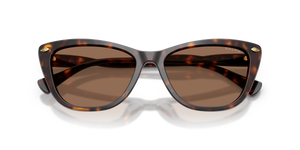 Shiny Dark Havana / Brown (500373)