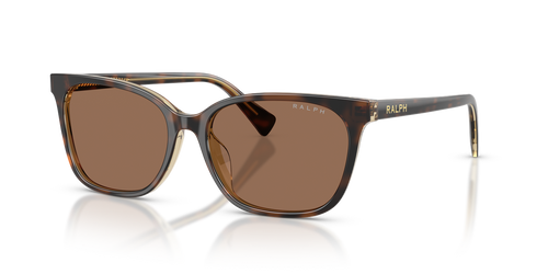 Tortoise/Transparent / Brown (629473)