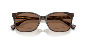 Tortoise/Transparent / Brown (629473)
