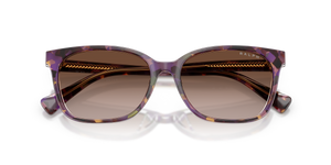 Violet Havana/Transparent / Gradient Brown (630313)