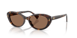 Dark Havana / Brown (500373)