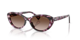Violet Havana / Gradient Brown (634213)