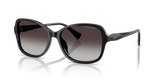 Shiny Black / Gradient Grey (50018G)