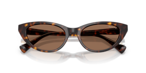 Shiny Dark Havana / Brown (500373)