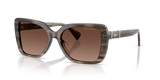 Grey/Crystal Striped / Gradient Brown Polarized (6383T5)