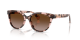 Pink Havana / Gradient Brown (605813)