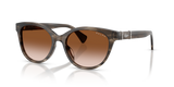Grey Crystal Gradient / Gradient Brown (638313)