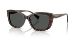 Brown Havana / Grey (500387)