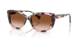 Pink Havana / Gradient Brown (605813)