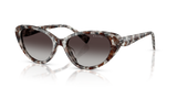 Havana Blu / Silver (63888G)