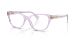 Transparent Rose / Demo Lens (6370)