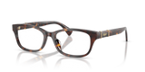 Havana Brown / Demo Lens (5003)