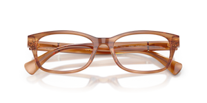 Striped Brown / Demo Lens (6384)