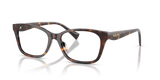 Havana Brown / Demo Lens (5003)
