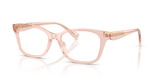 Transparent Rose / Demo Lens (6381)