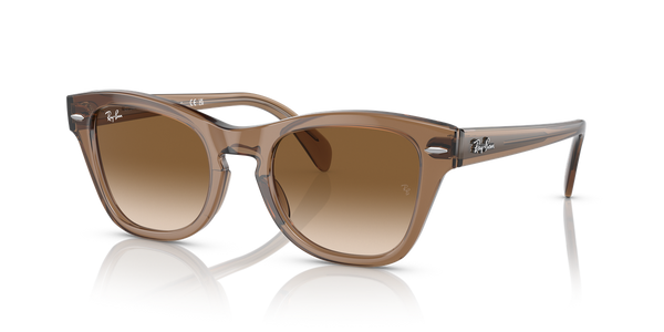 Ray-Ban RB0707S