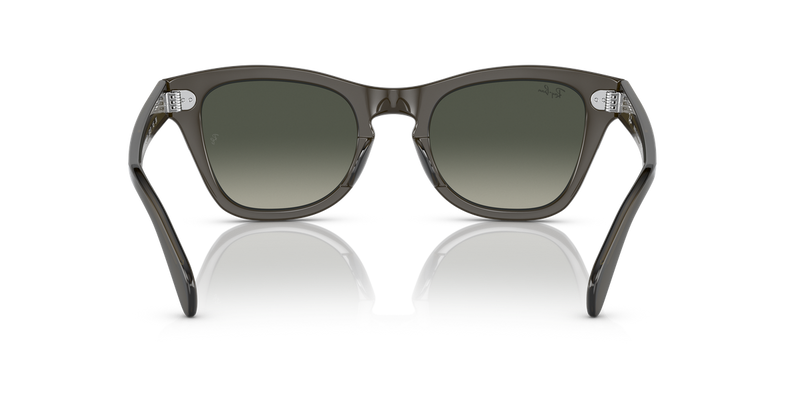 Ray-Ban RB0707S in Transparent Olive Green - Alternate View