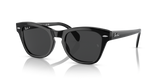 Black / Black Polarized (901/48)