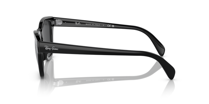 Ray-Ban RB0707S in Black - Alternate View