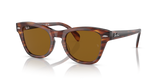 Striped Havana / Brown (954/33)
