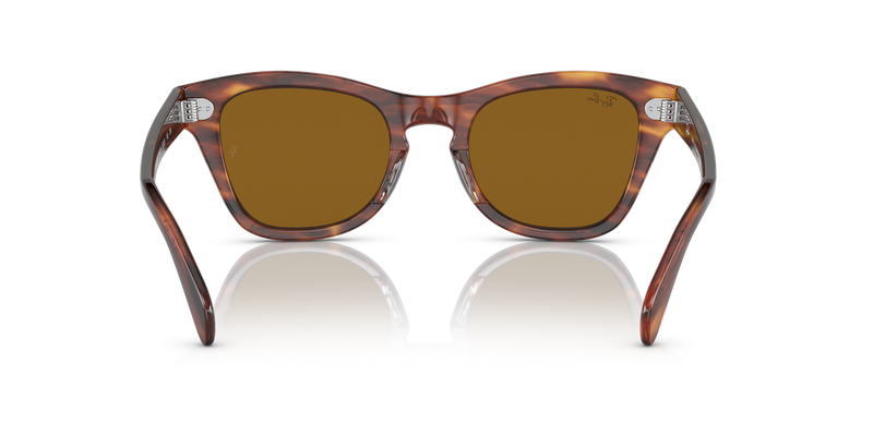 Ray-Ban RB0707S in Striped Havana - Alternate View
